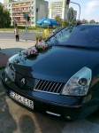Dekoracje samochodĂłw - 25
